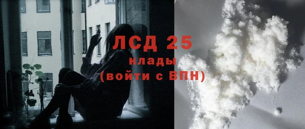 стаф Россошь