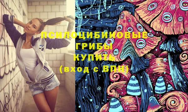 ПСИЛОЦИБИНОВЫЕ ГРИБЫ Куйбышев