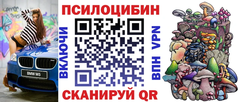 закладка  Среднеуральск  ссылка на мегу вход  Псилоцибиновые грибы Psilocybe 